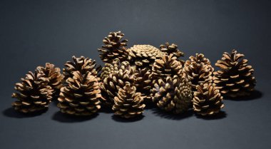 çam kozalakları siyah arka plan üzerine