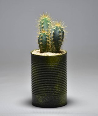 Gri arka planda el yapımı çömlek kaktüsü