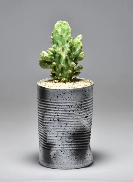 Kaktus Handgemachten Töpfen Auf Grauem Hintergrund — Stockfoto