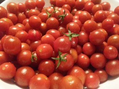 Tabakta taze organik domates