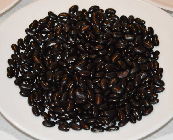 Black Bean Organic Healty Food — 스톡 사진