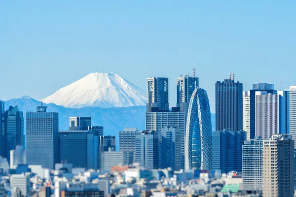 Shinjuku Fuji Japan November 2019 — Stock Photo, Image