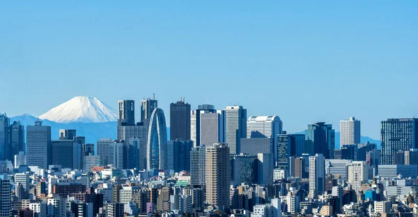 Shinjuku Fuji Japan November 2019 — Stock Photo, Image