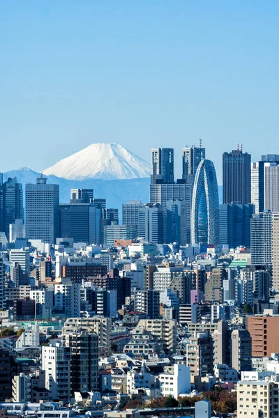 Shinjuku Fuji Japon Novembre 2019 — Photo