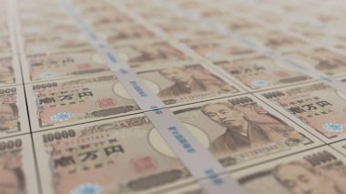 Düzgünce dizilmiş 10,000 yenlik Japon tomarı.