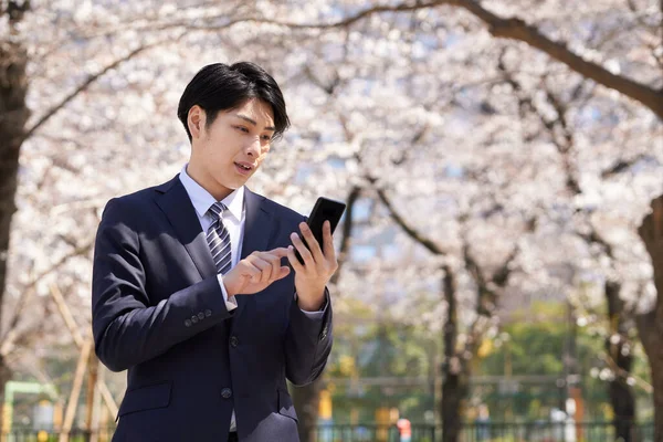 A Japanese businessman making a phone call with cherry blossoms in the background.