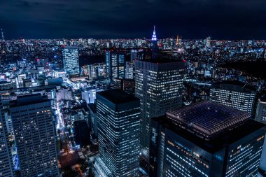 Tokyo Büyükşehir Gözlemevi 'nden Shinjuku, Tokyo, Japonya' nın gece görüşü