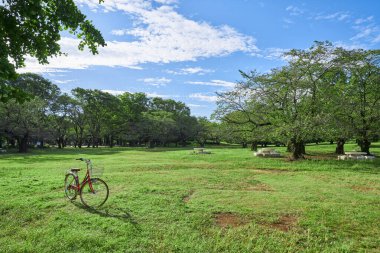 Bir park ve bir bisiklet görüntüsü
