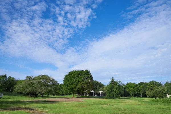 Park Lush Vegetation Clouds Blue Sky — Stock Photo, Image