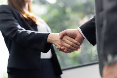 Japon bir erkek işadamıyla kadın bir iş kadını arasındaki el sıkışma.