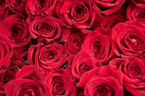Bouquet Roses Rouges Vives Avec Des Images Mariage Amour Images De Stock Libres De Droits