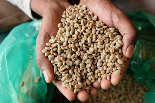 Frische Kaffeebohnen Aus Äthiopien — Stockfoto