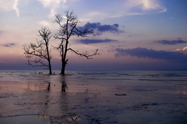 Muar nehri manzarası, Johor, Malezya