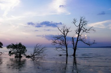 Muar nehri manzarası, Johor, Malezya