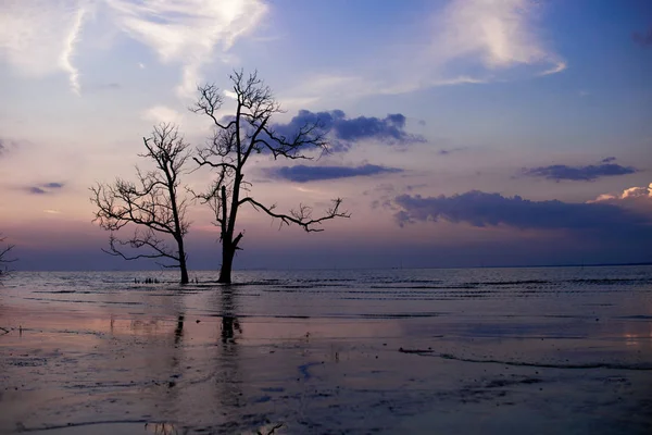 Muar nehri manzarası, Johor, Malezya
