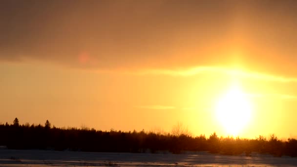 Lever Soleil Dans Nature Hiver Janvier — Video