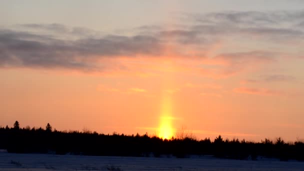 Восход Солнца Природе Зимой Январе — стоковое видео