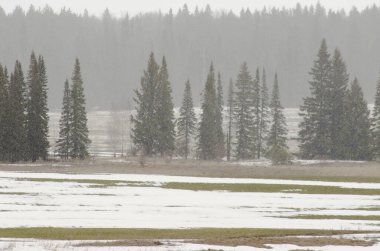 Baharın başında eriyen karlar