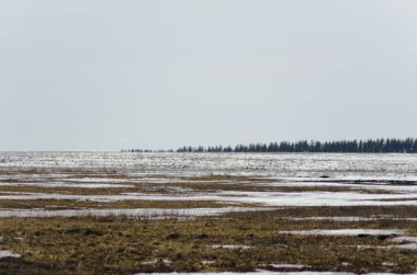 İlkbaharda karlar eriyecek.