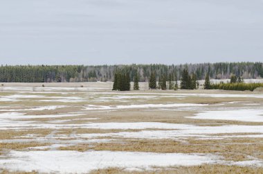 İlkbaharda karlar eriyecek.