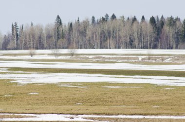 İlkbaharda karlar eriyecek.