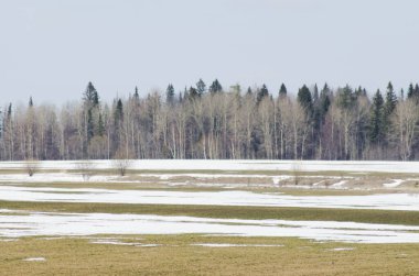 İlkbaharda karlar eriyecek.