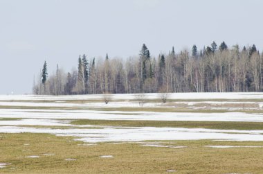 İlkbaharda karlar eriyecek.