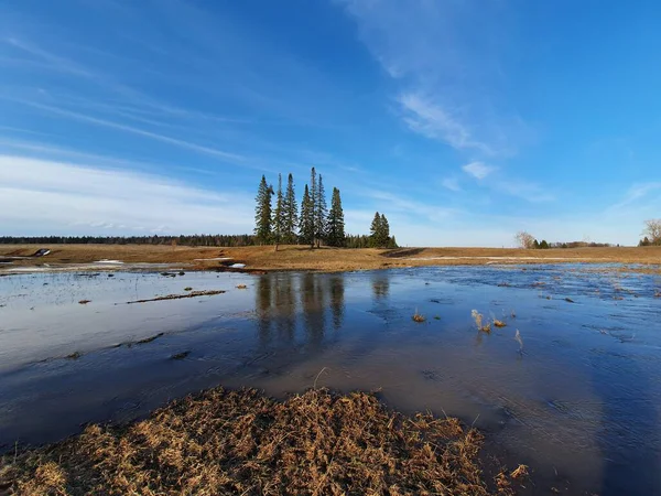 Источники Талой Воды Весной — стоковое фото