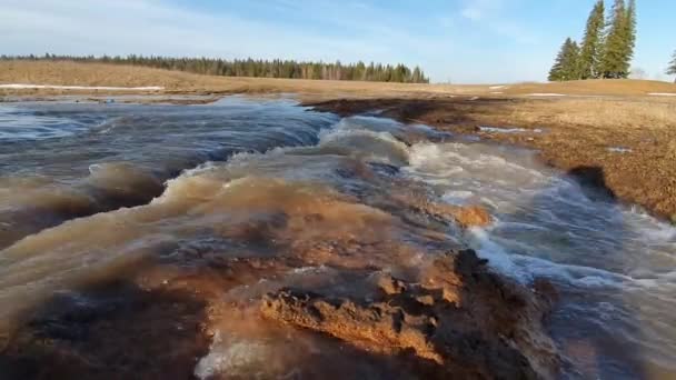 Schmelzwasserflüsse Frühling — Stockvideo
