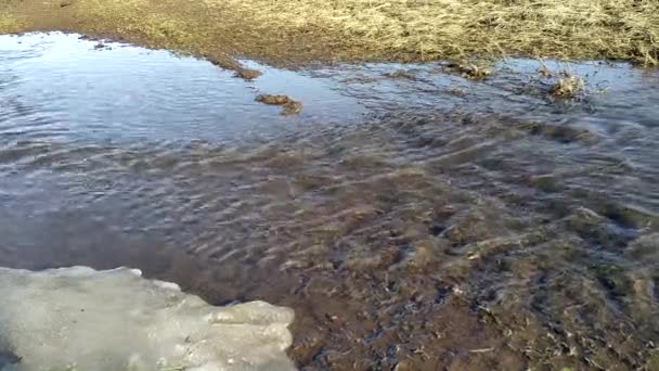 Schmelzwasserbach Frühling — Stockvideo