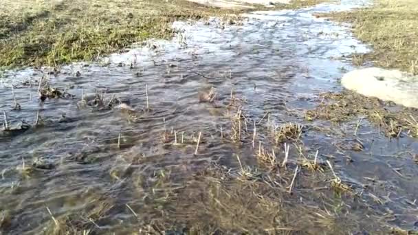 Derretir Arroyo Agua Primavera — Vídeo de stock