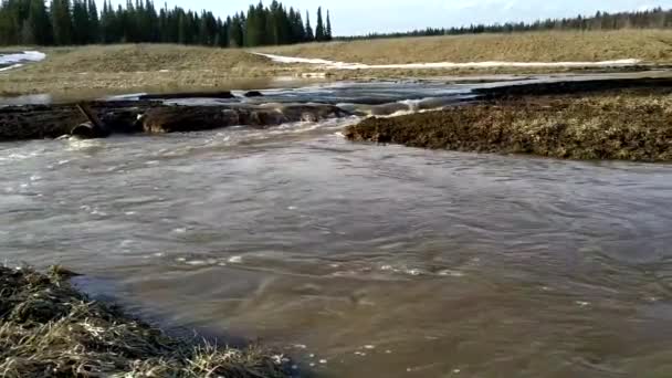 Derretir Ríos Agua Primavera — Vídeo de stock