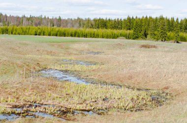 arkaplan, ülke, alan, çimen, yeşil, manzara, doğa, açık hava, kırsal, ekili, ağaç, ahşap