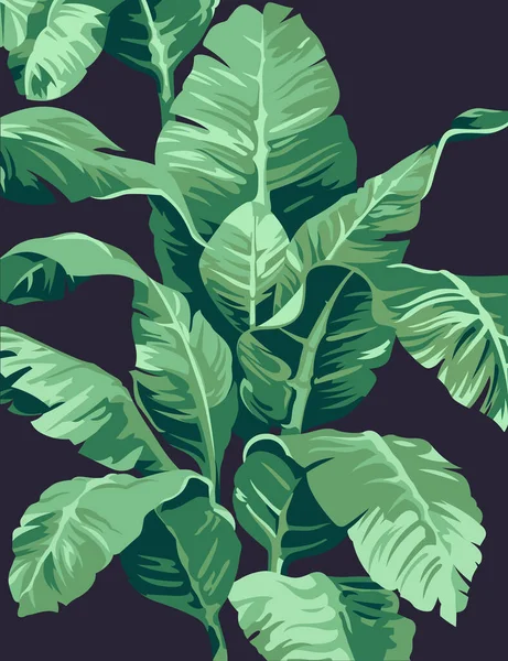 Muster Bananenbaum Und Blätter Dass Eine Tropische Pflanze Auf Dunklem — Stockvektor