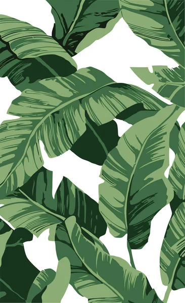 Patrón Plátano Hojas Que Una Planta Tropical Sobre Fondo Blanco — Vector de stock