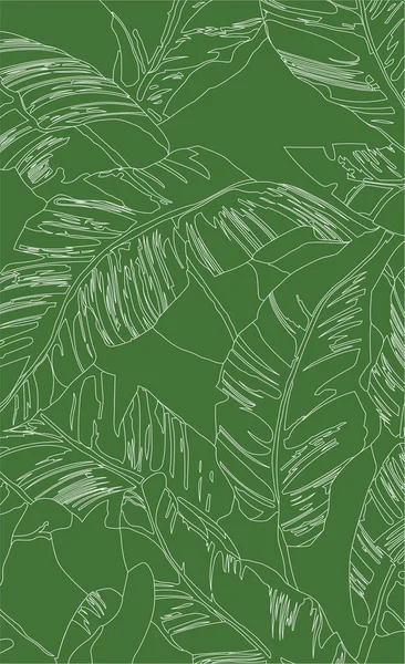 Beyaz Çizgiler Desenli Muz Ağacı Yaprakları Yeşil Zemin Doğrusal Düz — Stok Vektör