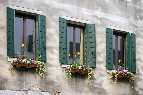 Floral decorations on the old windows with shutters — Stock Photo, Image
