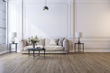 Ev, ofis ve otel için dekoratif bir geçmiş. Modern iç dizayn oturma odası kanepesi ve beyaz klasik bir duvarın arka planında modern iç dekorasyon detayları..