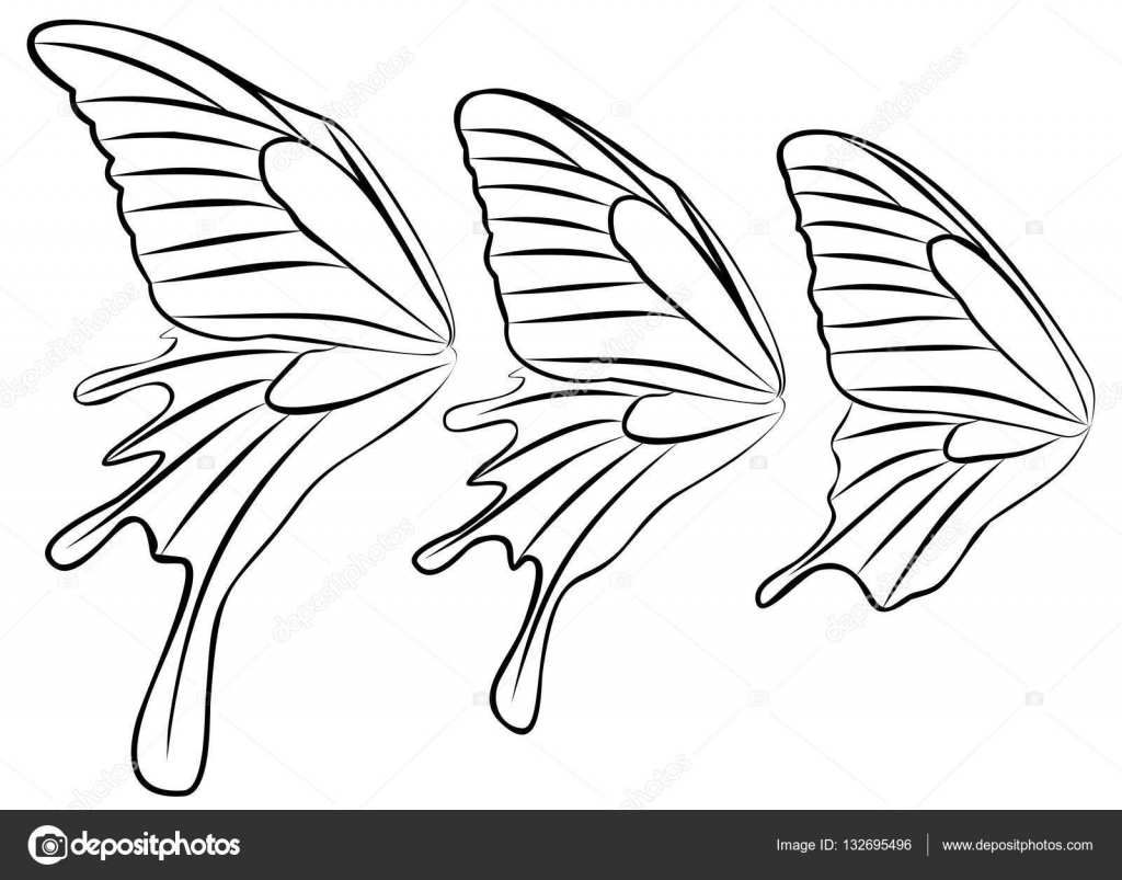 Butterfly Wings Art Outline Graphic by icrownstudio · Creative Fabrica