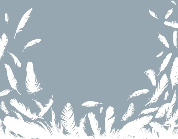Fond avec plumes d'oiseaux . — Image vectorielle