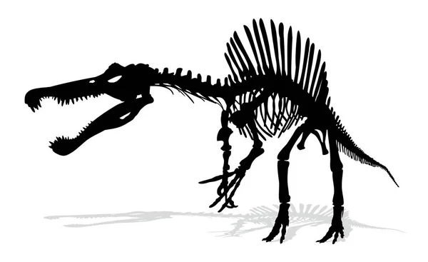 Lo scheletro del dinosauro . — Vettoriale Stock