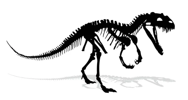 O esqueleto do dinossauro . — Vetor de Stock