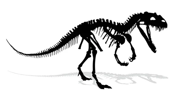 De dinosaurus skelet. — Stockvector