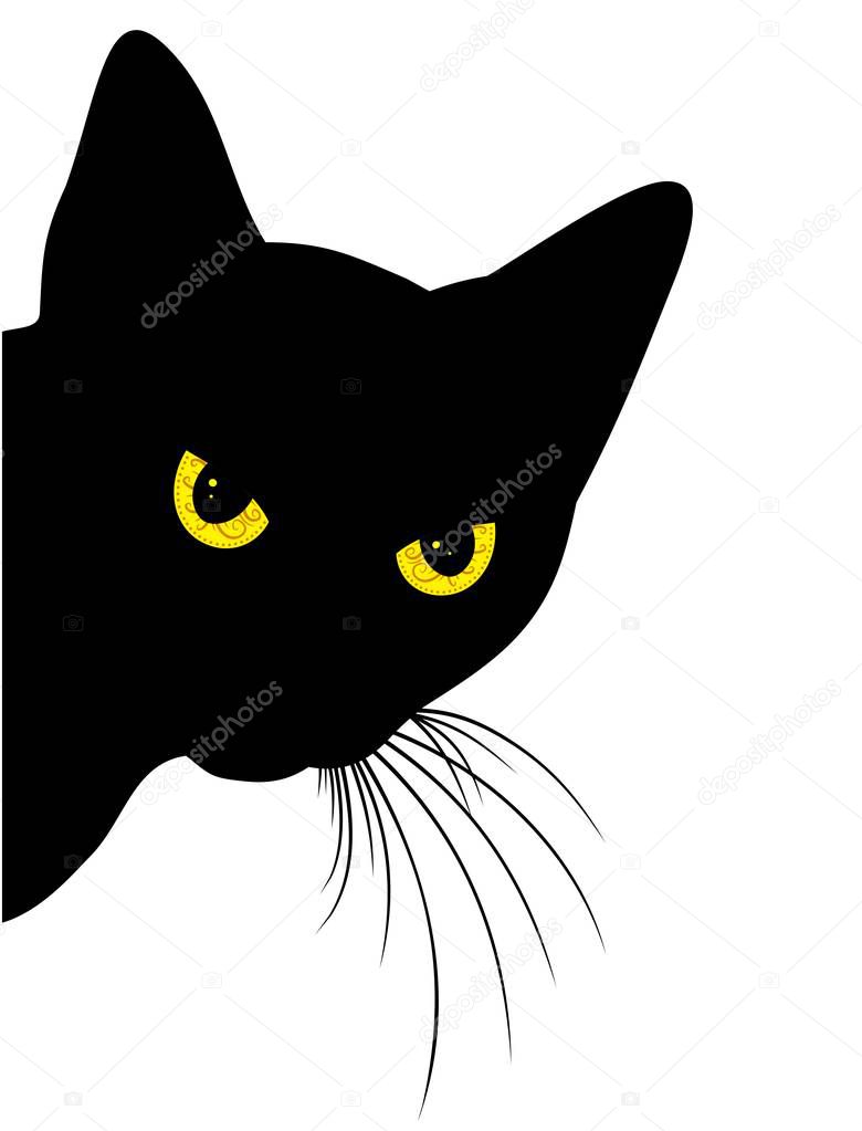 Predatory black cat. 