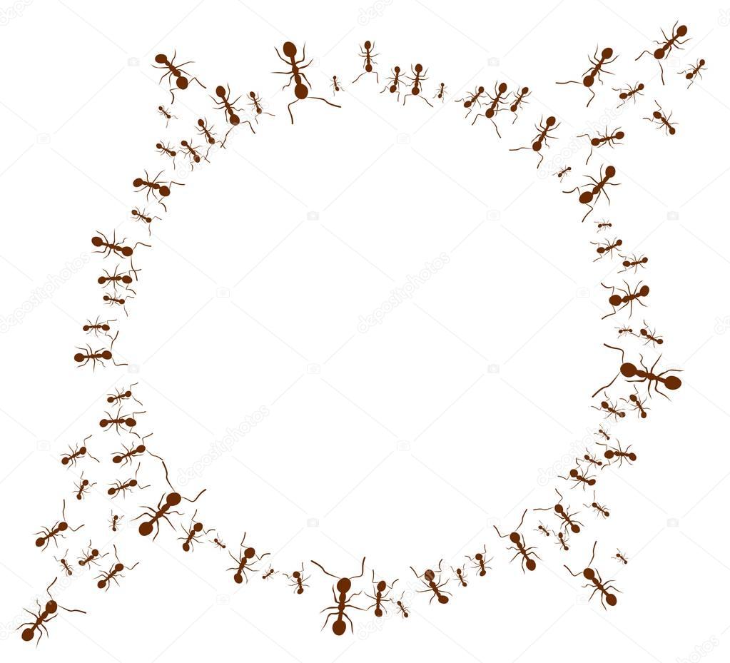 Round frame with ants. 