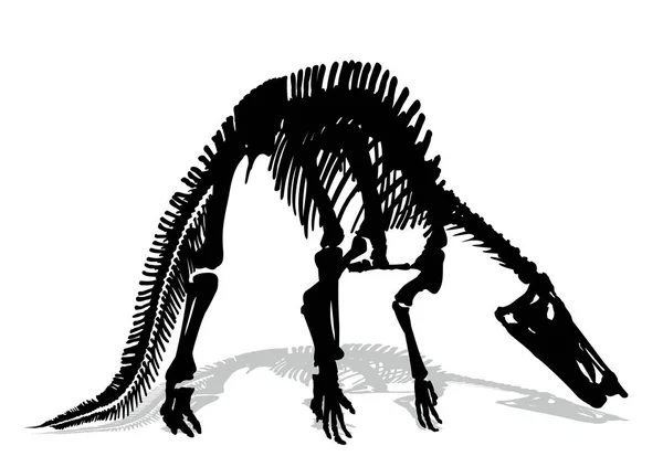 Lo scheletro del dinosauro . — Vettoriale Stock