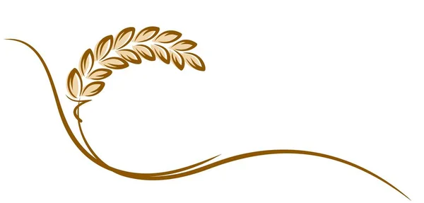Logotipo de trigo . — Vetor de Stock