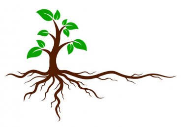 Green tree with roots.  clipart