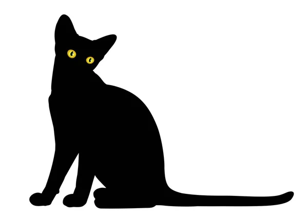 Silueta de gato negro . — Archivo Imágenes Vectoriales