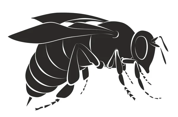 Silueta de la abeja . — Vector de stock